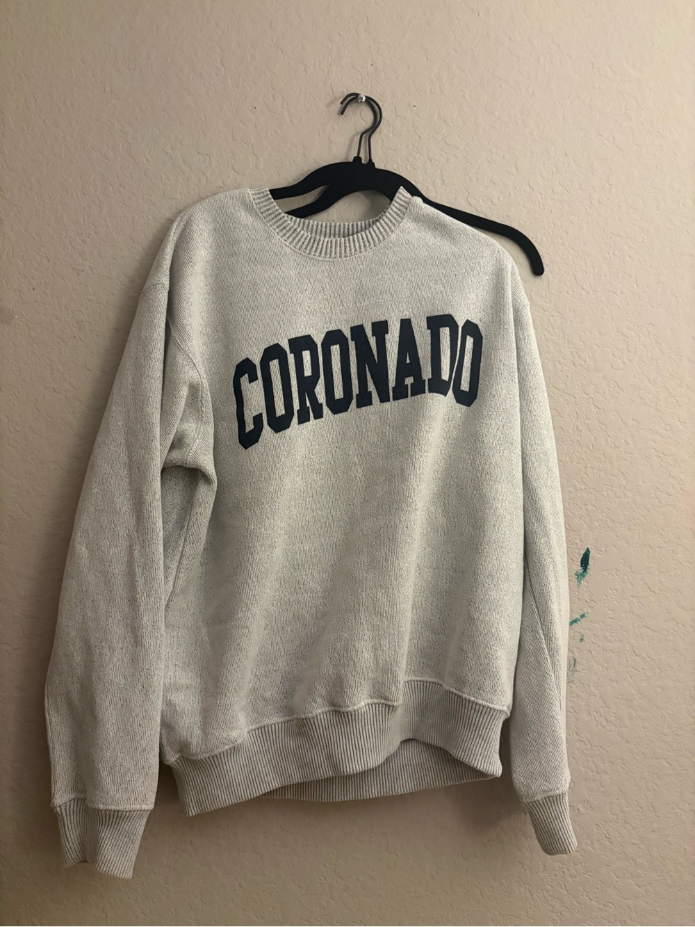 Corona Crewneck Sweatshirt in Light Gray